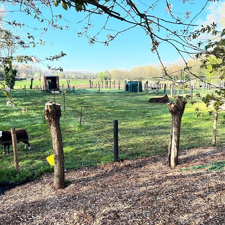 Hoeve Hooierzele Waasmunster エクステリア 写真