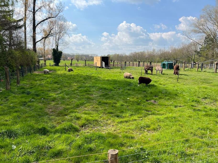 Hoeve Hooierzele Waasmunster エクステリア 写真